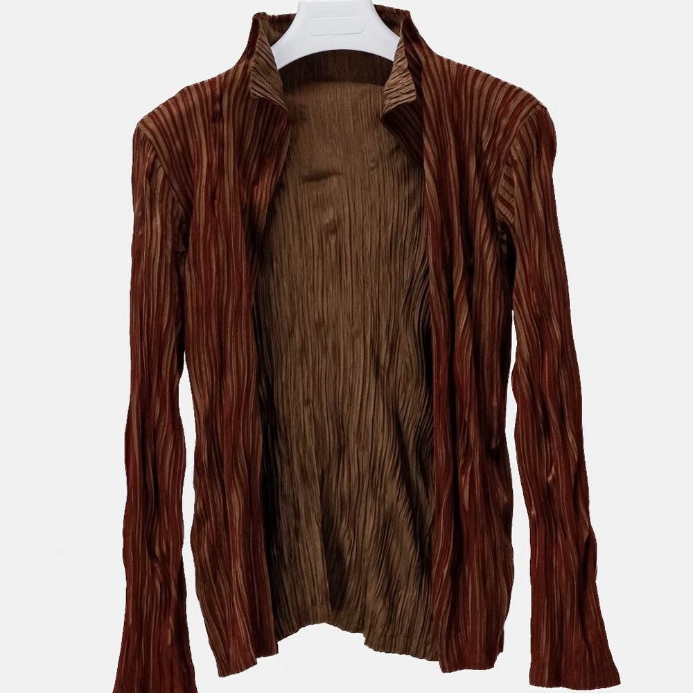 Issey Miyake Velvety Pleats Red Stripe Jacket